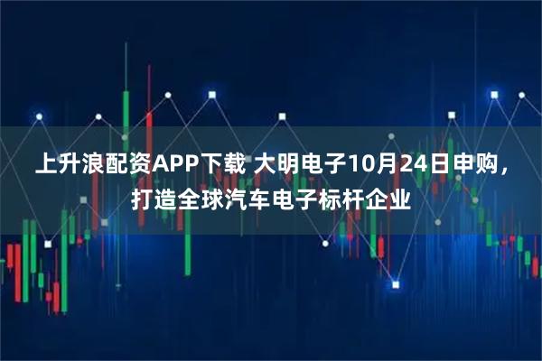 上升浪配资APP下载 大明电子10月24日申购,打造全球汽车电子标杆企业