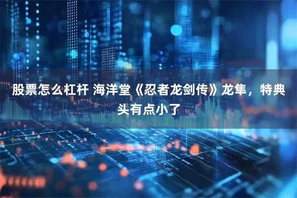 股票怎么杠杆 海洋堂《忍者龙剑传》龙隼，特典头有点小了